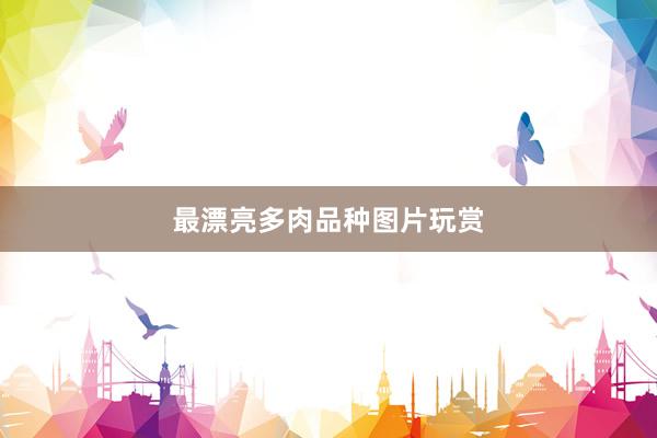 最漂亮多肉品种图片玩赏