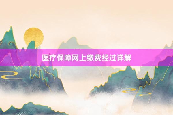 医疗保障网上缴费经过详解