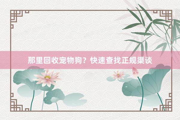 那里回收宠物狗?快速查找正规渠谈