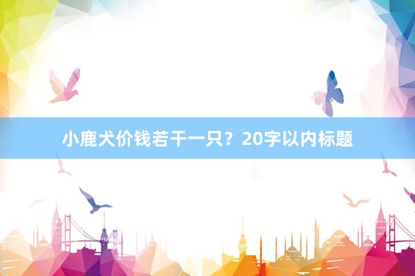 小鹿犬价钱若干一只？20字以内标题