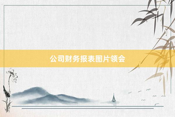 公司财务报表图片领会